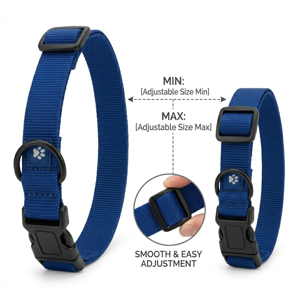 Adjustable Dog Collar
